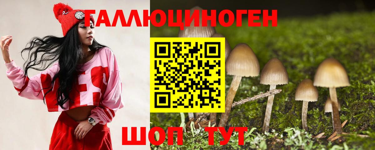 Псилоцибиновые грибы GOLDEN TEACHER Стрежевой